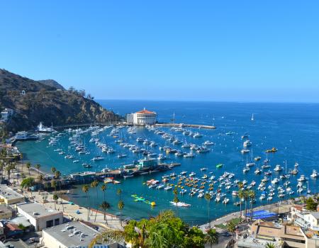 Catalina Island Vacation Rentals | Avalon and Hamilton Cove Rentals